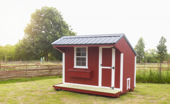 Chicken Coop