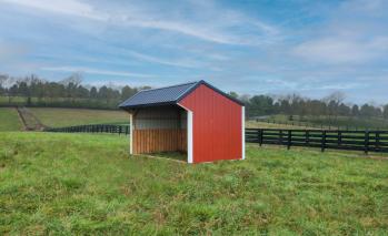 Run-In Shed